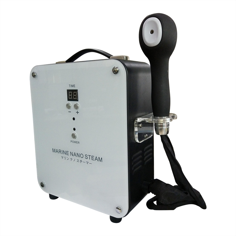 Zs High Power 1300W Nano Blue Light Micro Mist Hair Steamer Hair Perm Dyeing Scalp Care Sprayer Deep Conditioning Hair Steamer