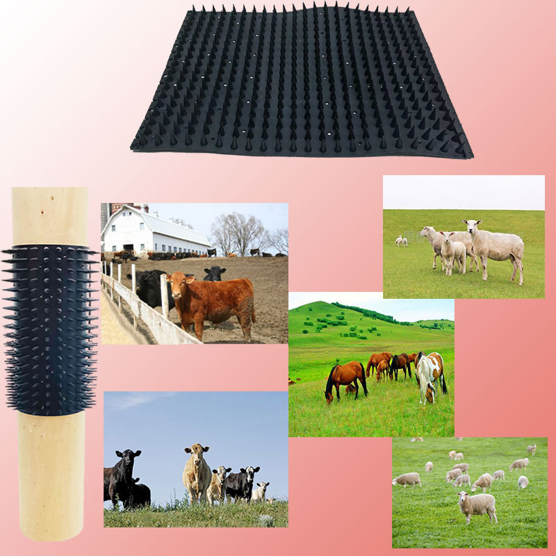 2PCS Pastoral Farm Cattle Care: Innovative Body Brushing Tools for Itching