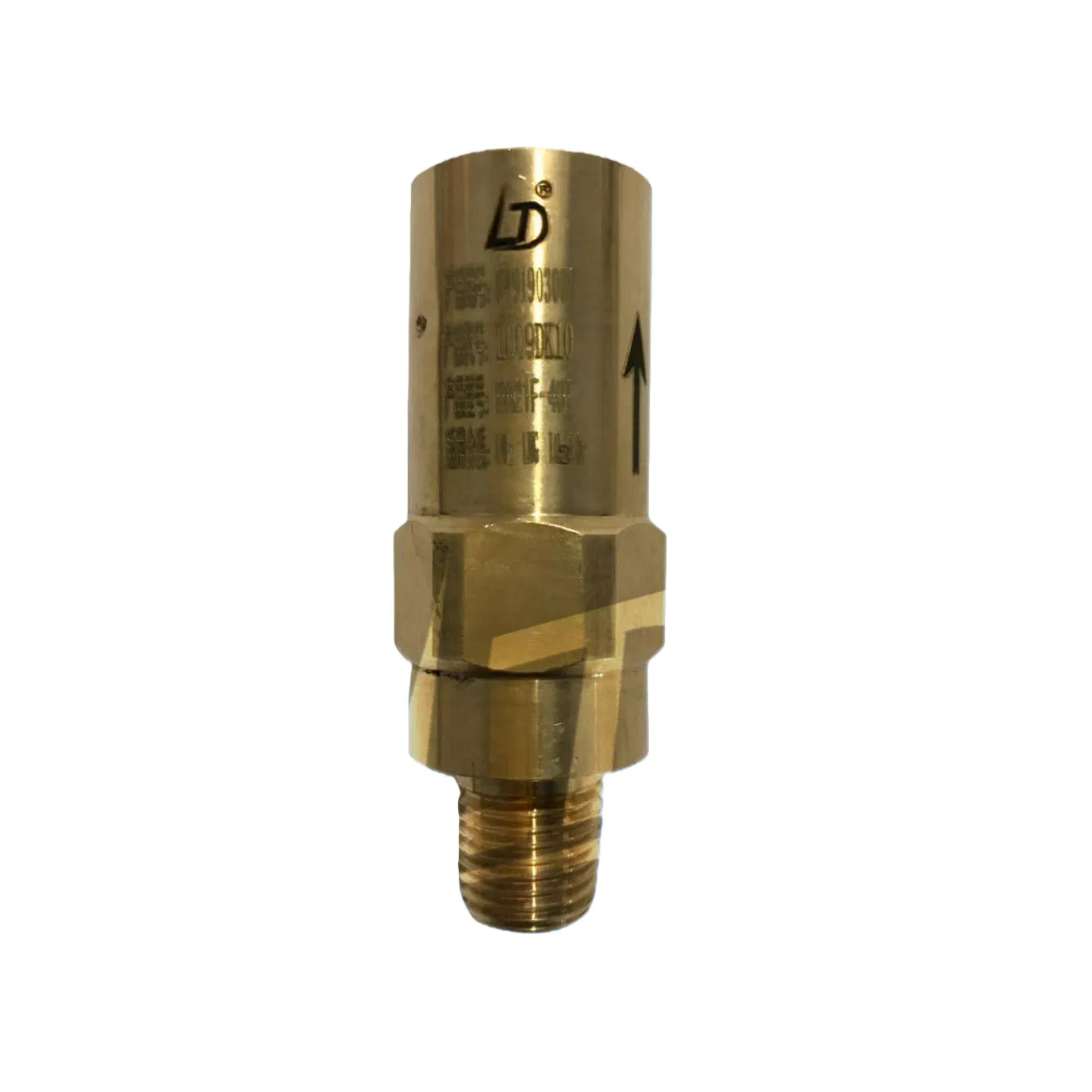 Cryogenic Safety Valve
