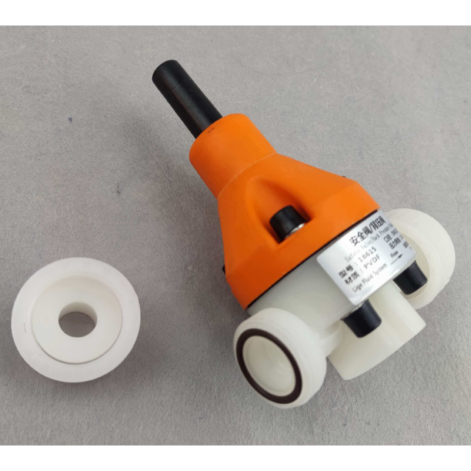 Pump DN15 Chemical Dosage Relief Valve High-Quality Safety Back Pressure Valve