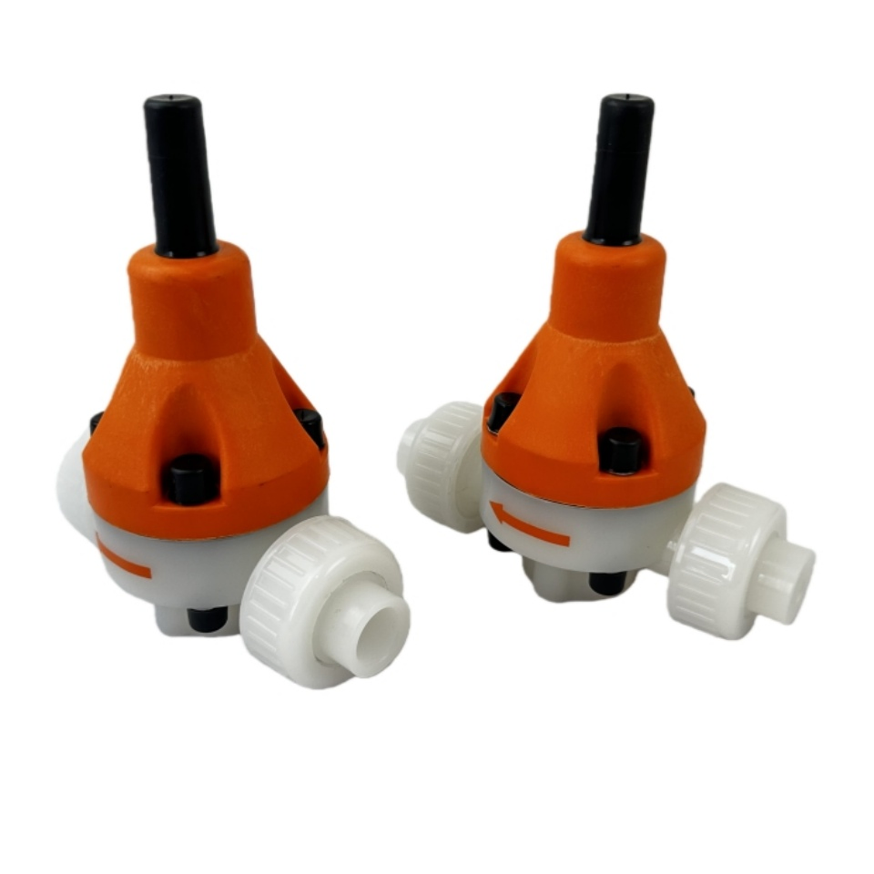 Pump DN15 Chemical Dosage Relief Valve High-Quality Safety Back Pressure Valve