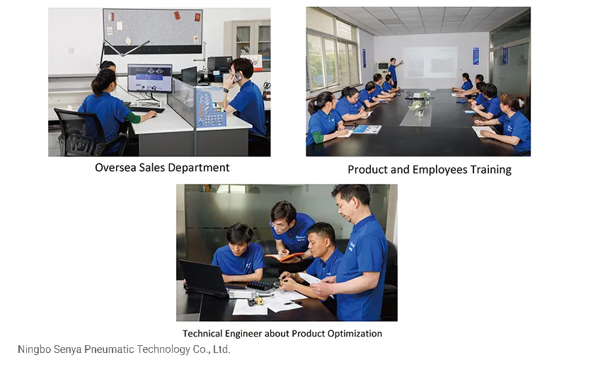 Professional Staff