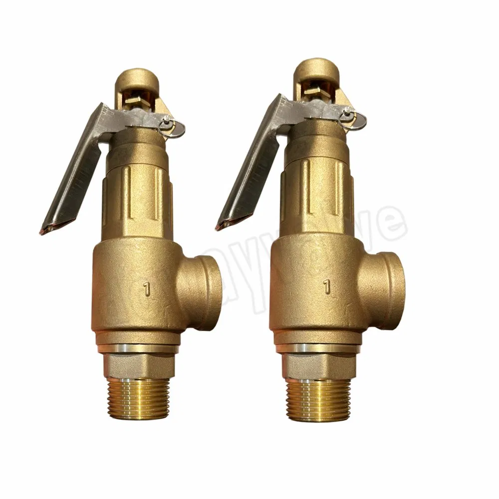 Brass Pressure Relief Valve Stainless Steel Safety Valve with Lever