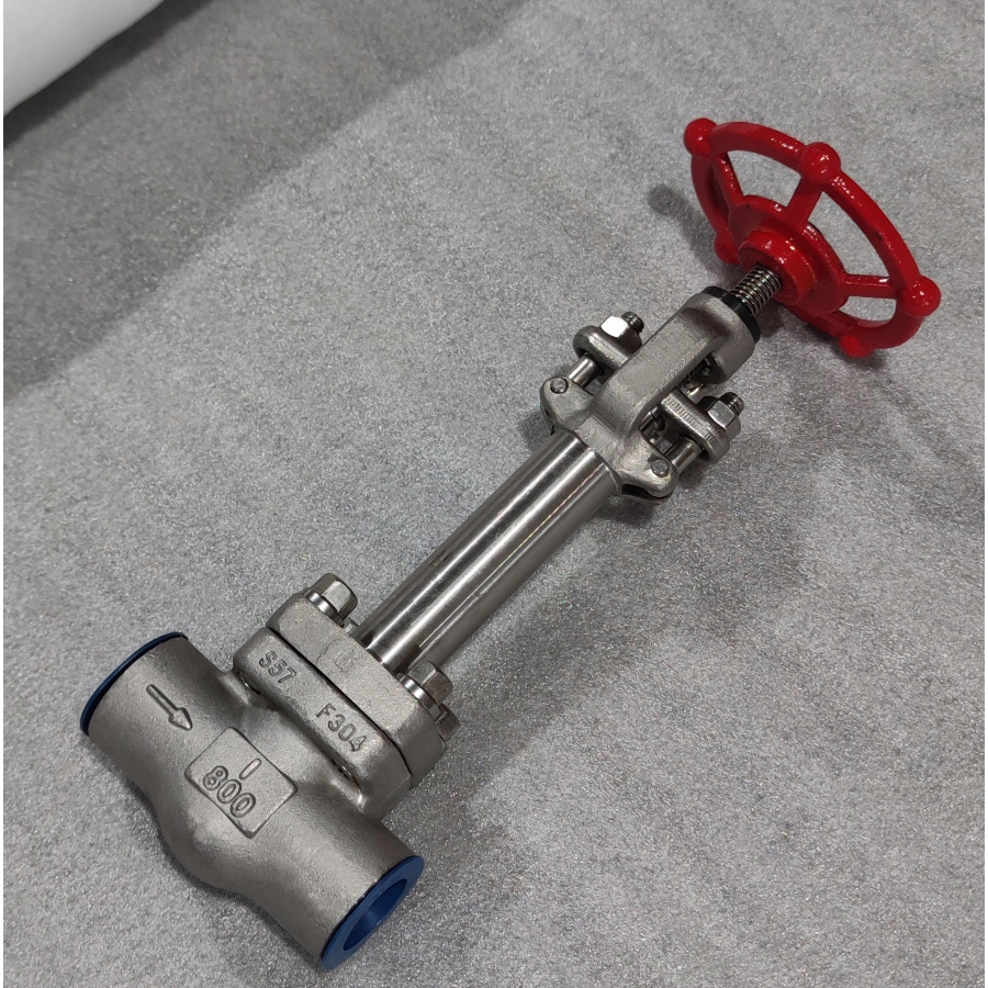 Stainless Steel Ductile Iron Pressure Reducing Cryogenic Valve for LNG &amp; Ln2, Liquid Nitrogen -196℃ Industrial/Gate/Check/Float/Ball/Globe Valves
