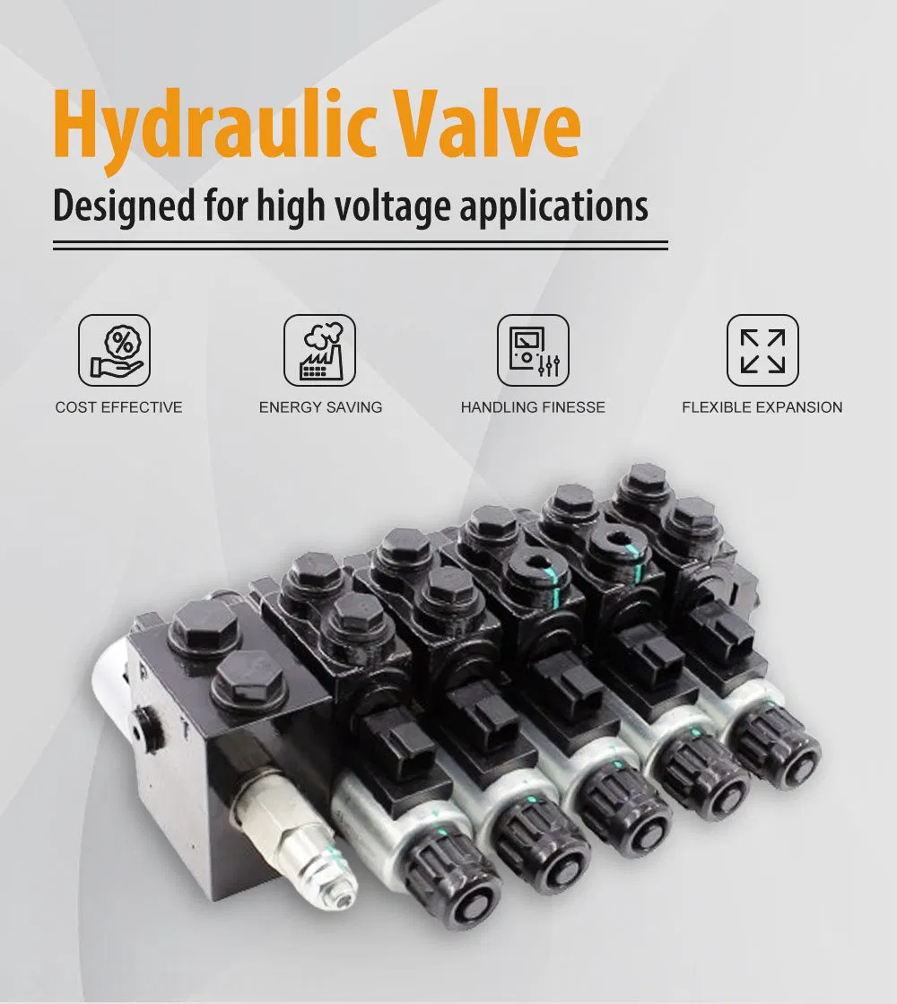 Customized Hydraulic Solutions: Bespoke Hdcf50 Solenoid Control Valves