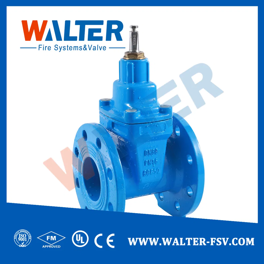 Gate Valve Detail 5