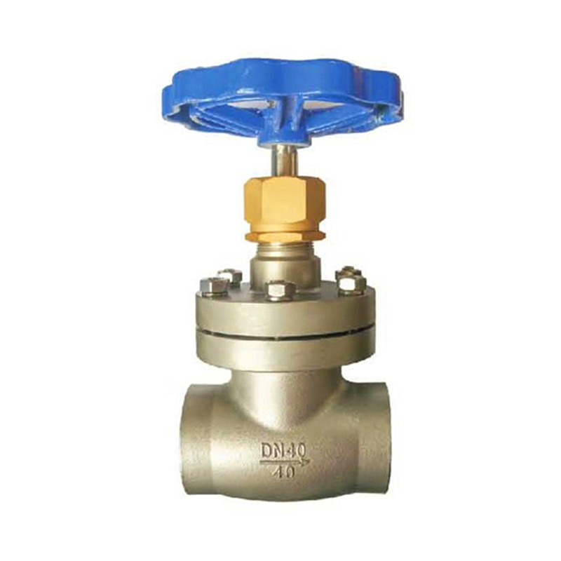 Cryogenic Pressure Building Regulating Valve for Vacuum Pipe