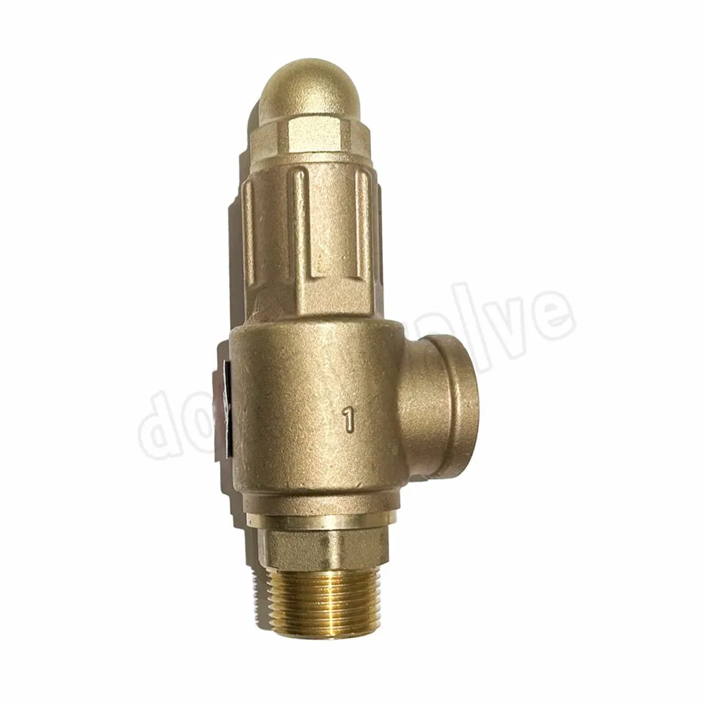 Brass Pressure Relief Valve Stainless Steel Safety Valve with Lever
