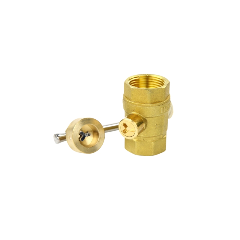 Premium Cryogenic Brass Globe Valve for Efficient Water and Gas Control