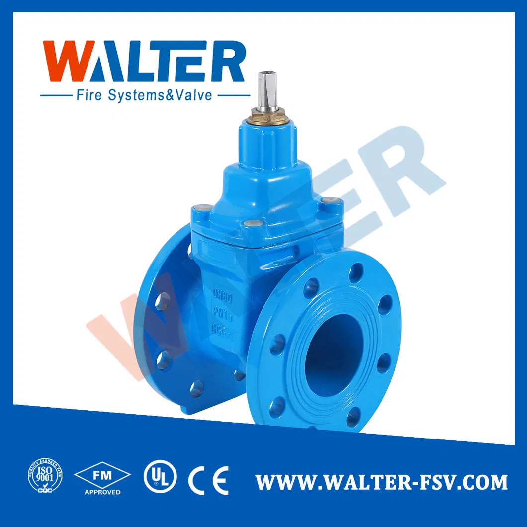Gate Valve Detail 3