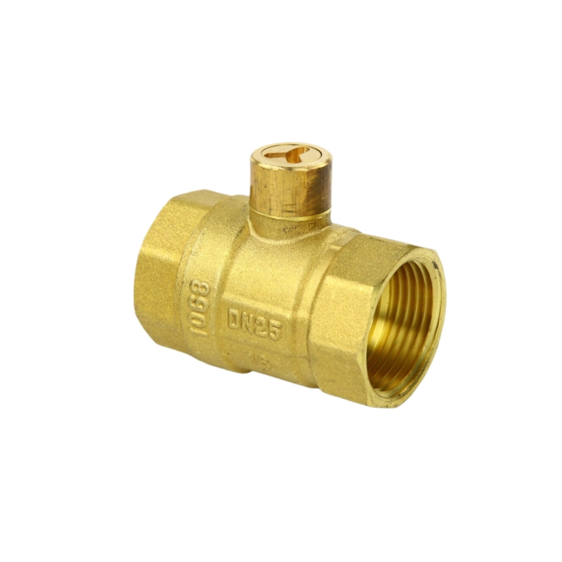 Premium Cryogenic Brass Globe Valve for Efficient Water and Gas Control