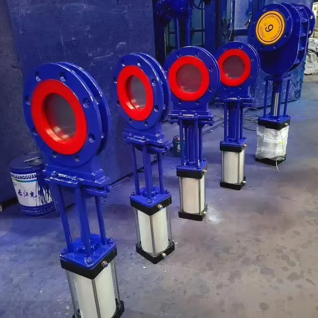 Knife Gate Valve Detail 2
