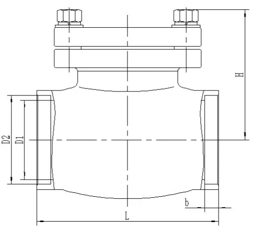 Cryogenic Check Valve