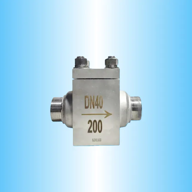 Cryogenic Valve 11