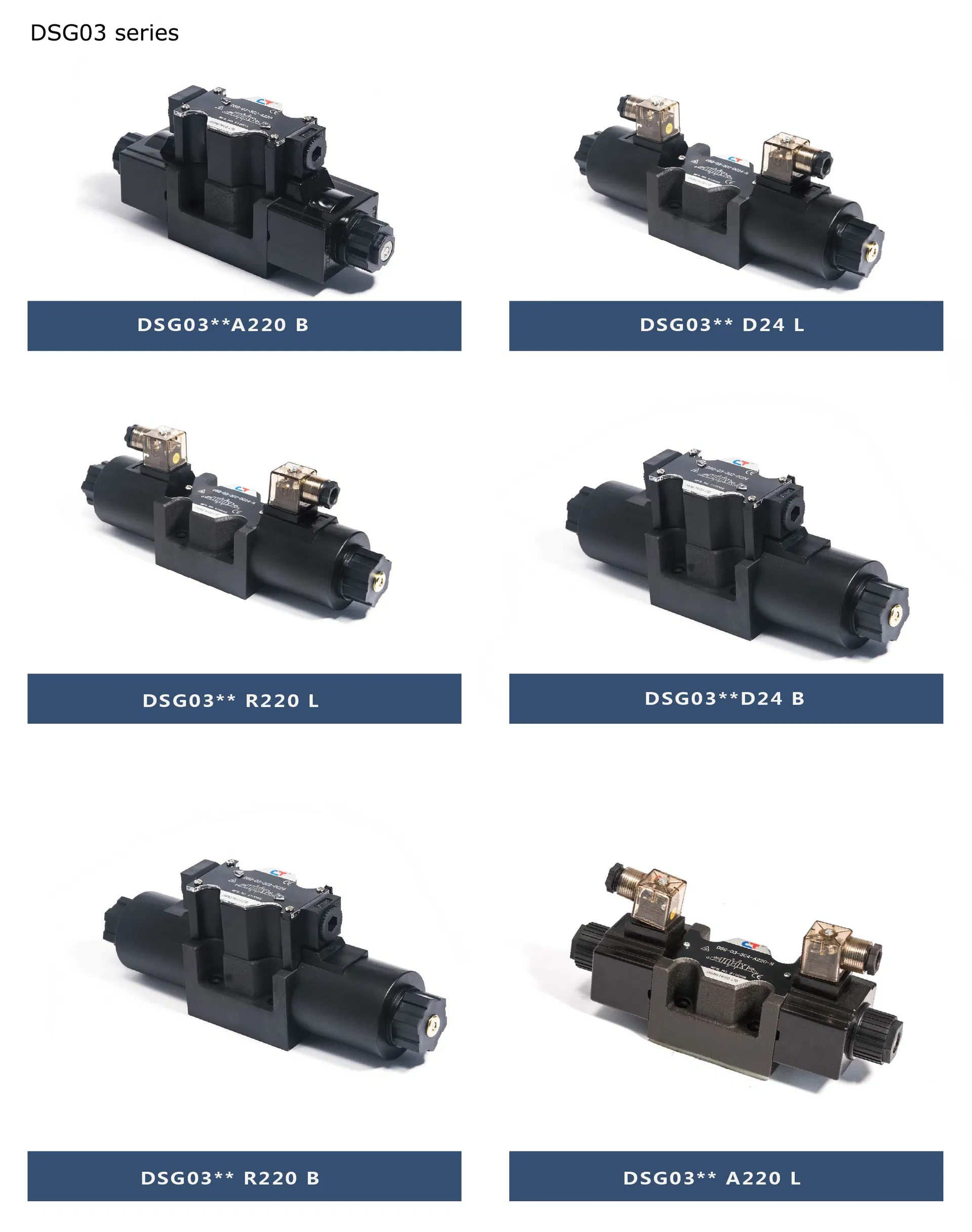 DSG02 03 Series Valve Detail 2