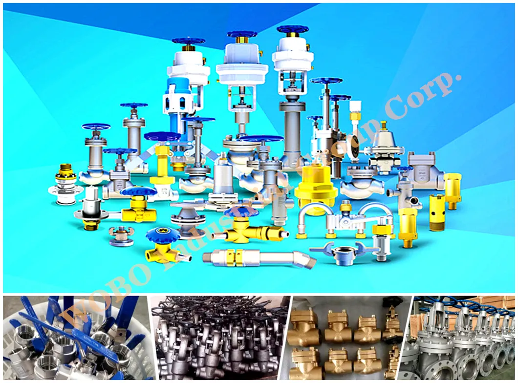 Cryogenic Valves