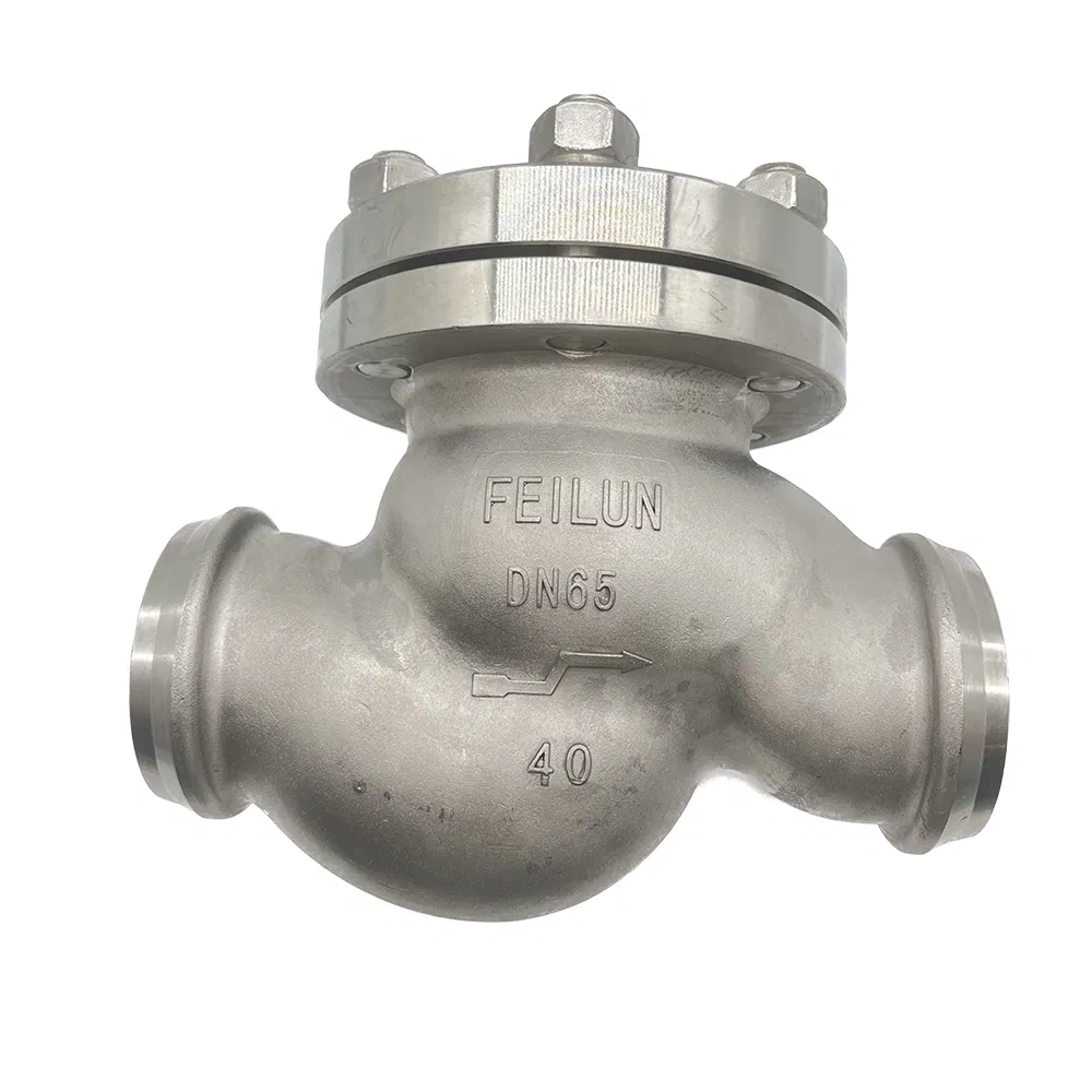 Cryogenic Check Valve