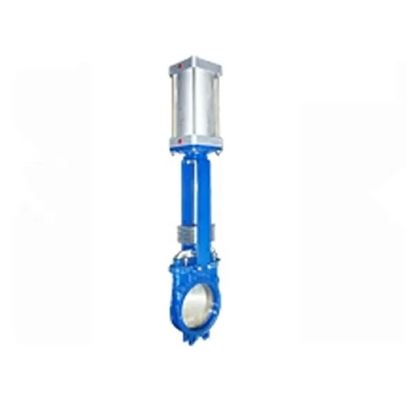 Knife Gate Valve Detail View