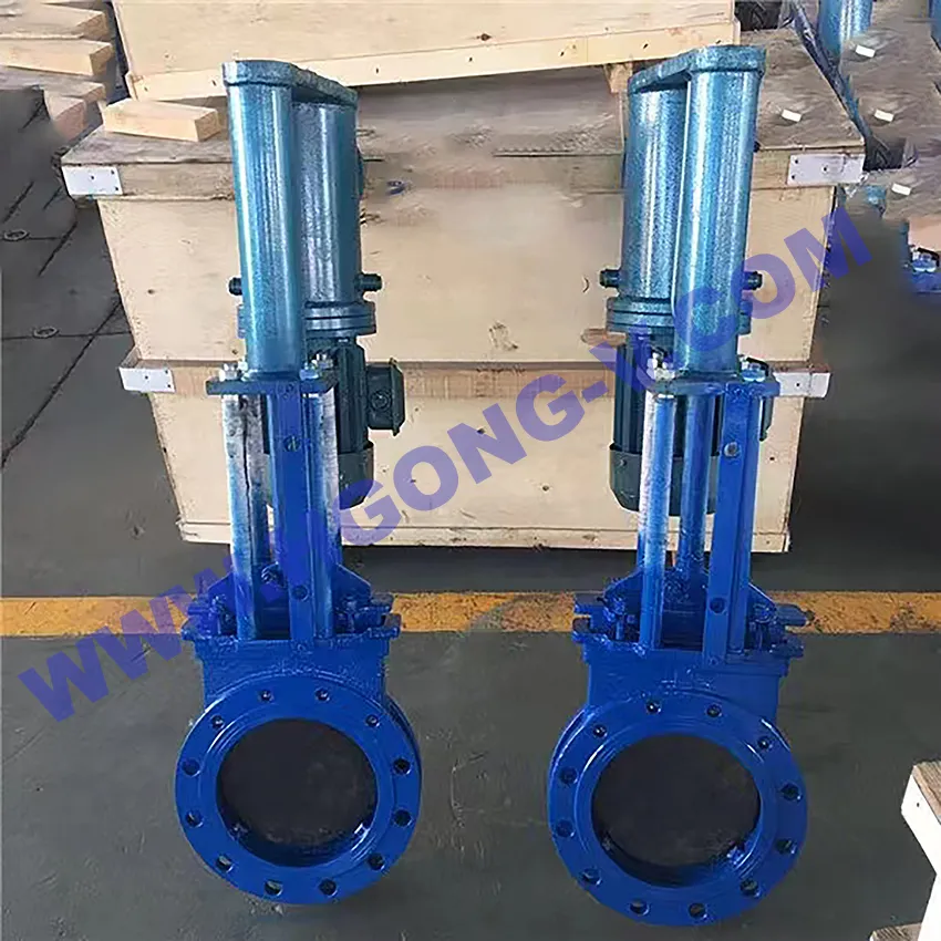 Knife Gate Valve Photo 3