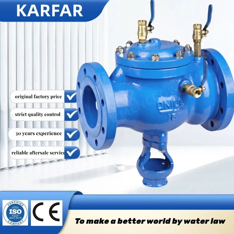 Anti Pollution Cut off Check Valve
