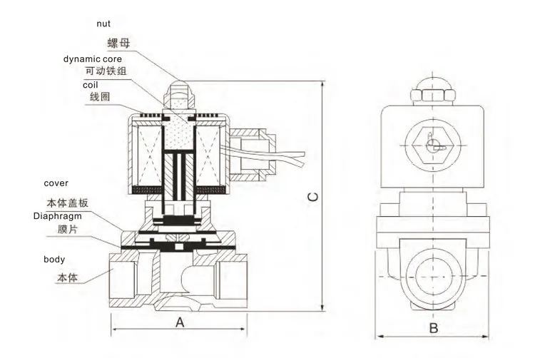 External dimension drawing
