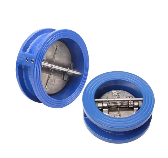 Check Valve Main View