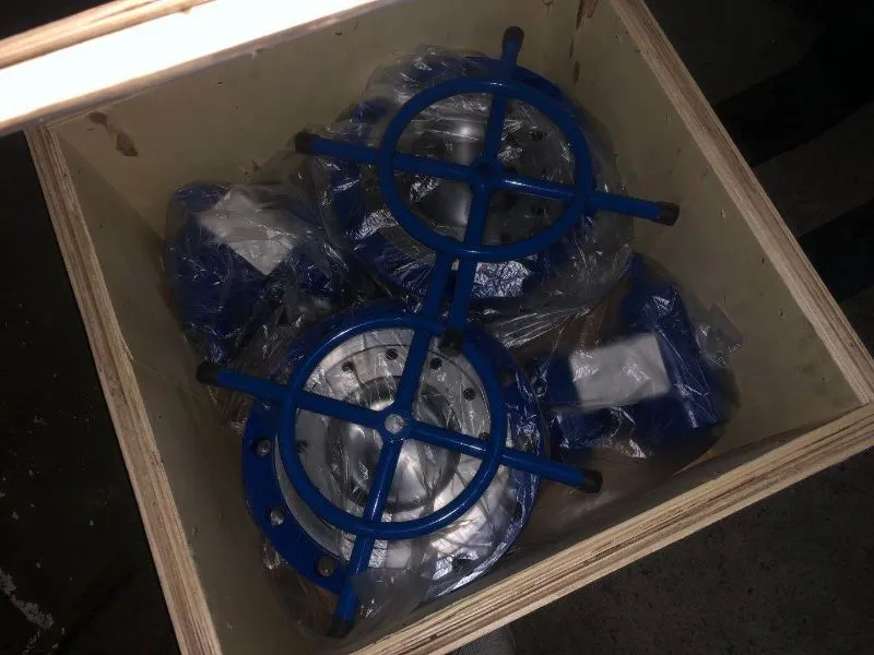 Valve Packaging 3