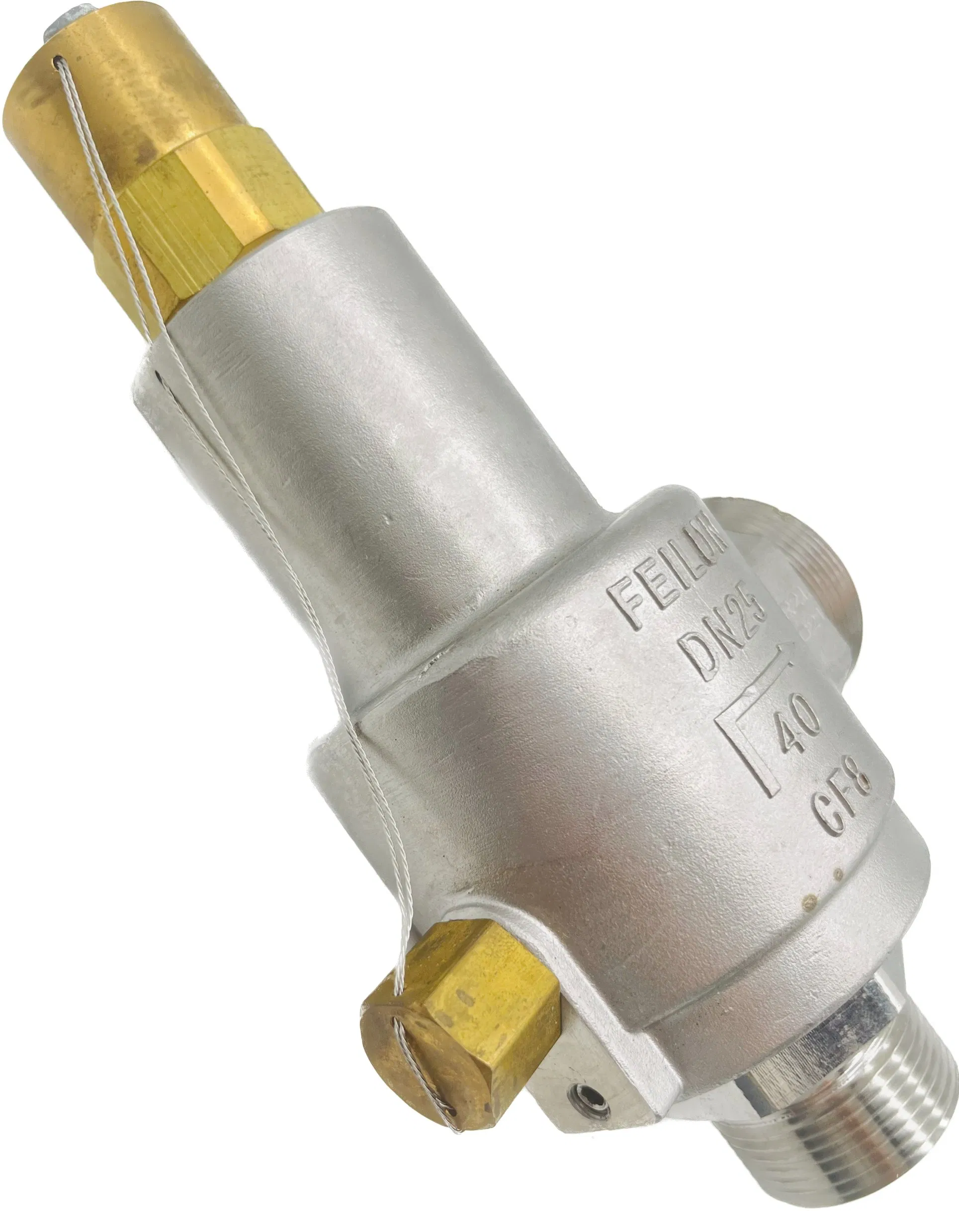 Dah-25c 4000psi 25mm High Quality Cryogenic Safety Valve in Stainless Steel