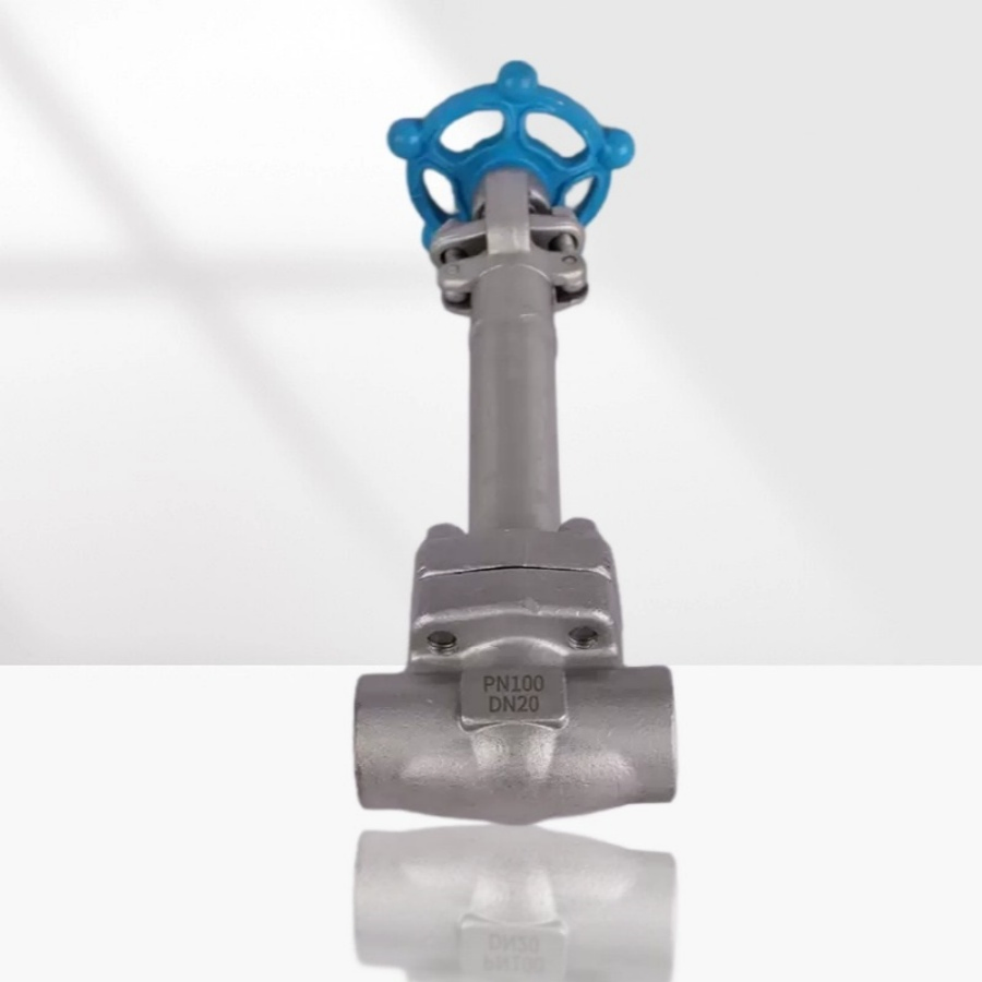 Stainless Steel Ductile Iron Pressure Reducing Cryogenic Valve for LNG &amp; Ln2, Liquid Nitrogen -196℃ Industrial/Gate/Check/Float/Ball/Globe Valves