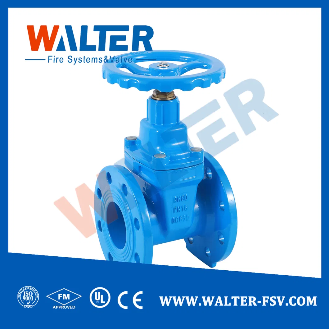 Gate Valve Detail 1