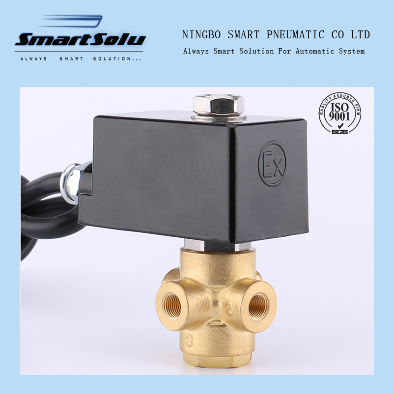 Customized Brass Stainless Steel Plastic OEM Solenoid Valve