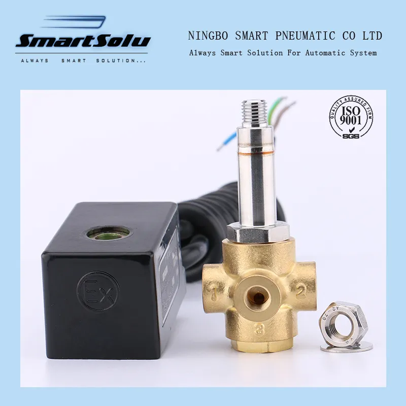 Solenoid Valve View 1