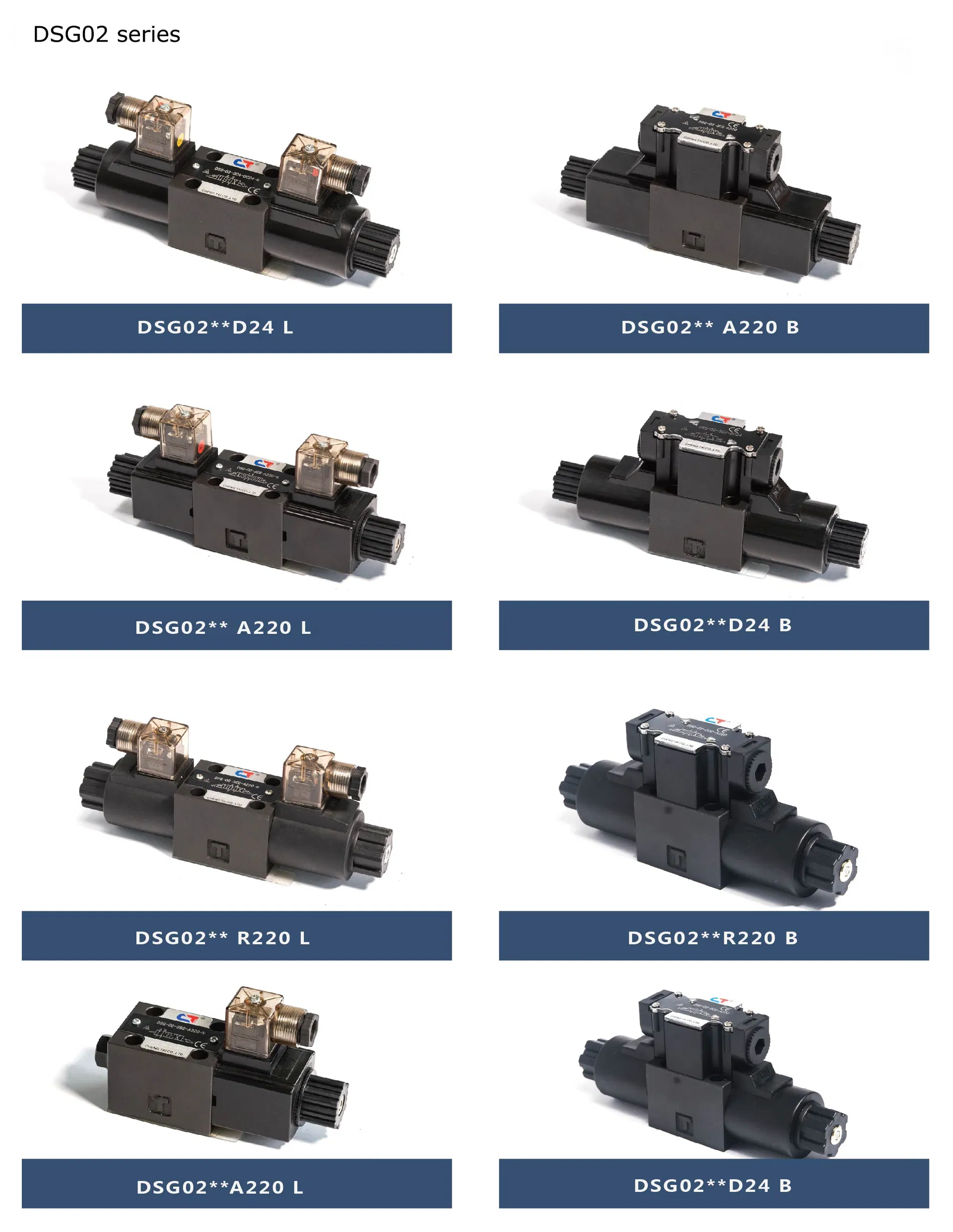 DSG02 03 Series Valve Detail 1
