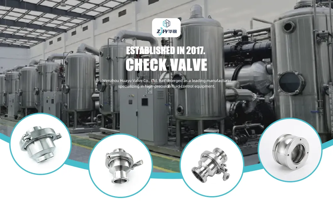 Stainless Steel Check Valve