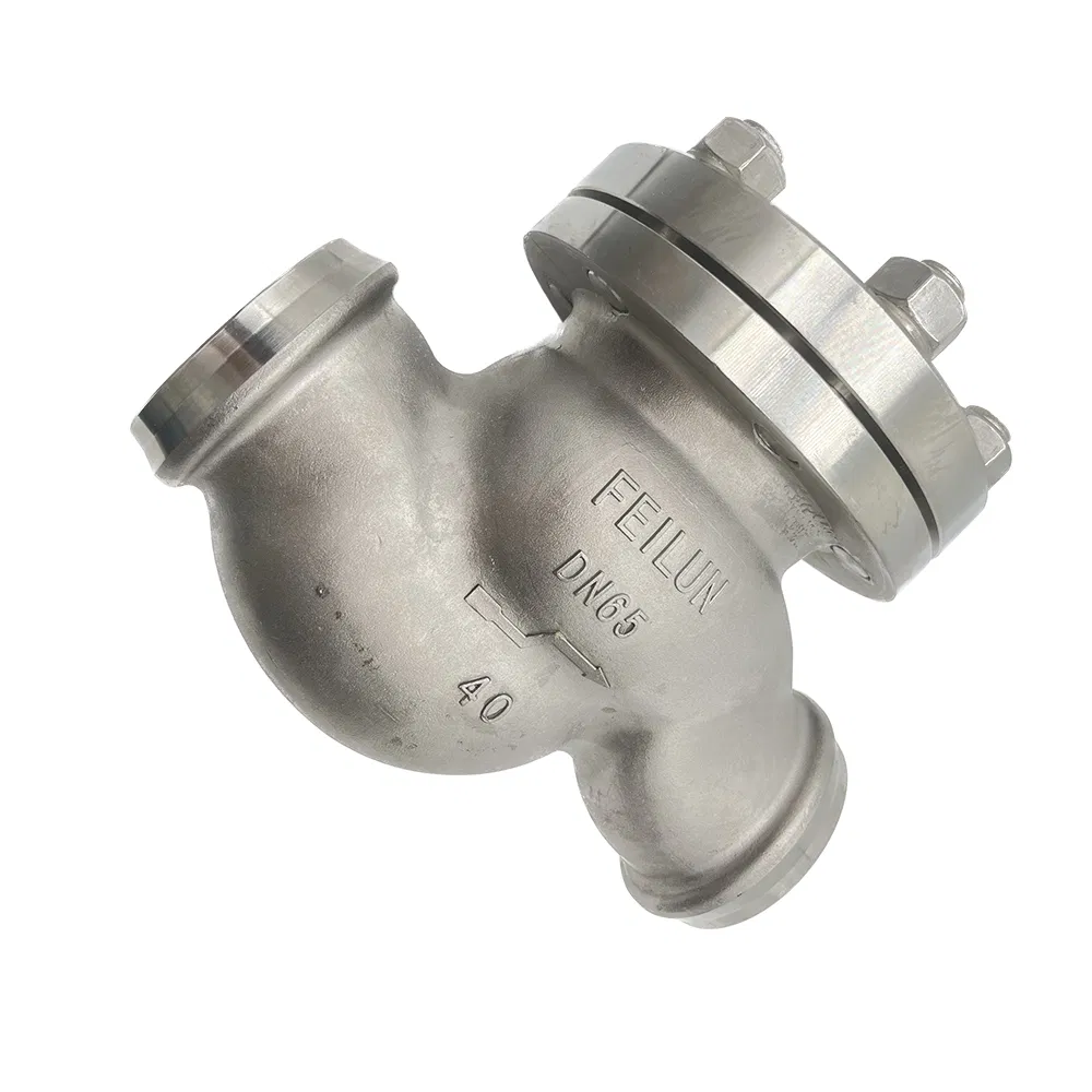 Cryogenic Check Valve Dh-65 Low Temperture Gas Check Valve