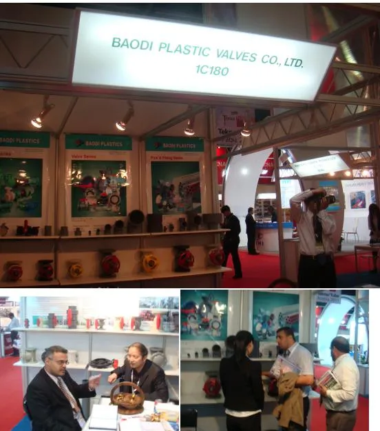 International Exhibition 1