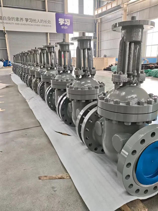 Knife Gate Valve Detail 3
