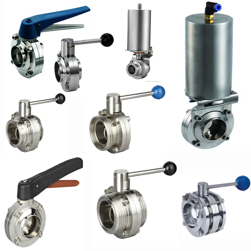 Butterfly Valve Detailed View