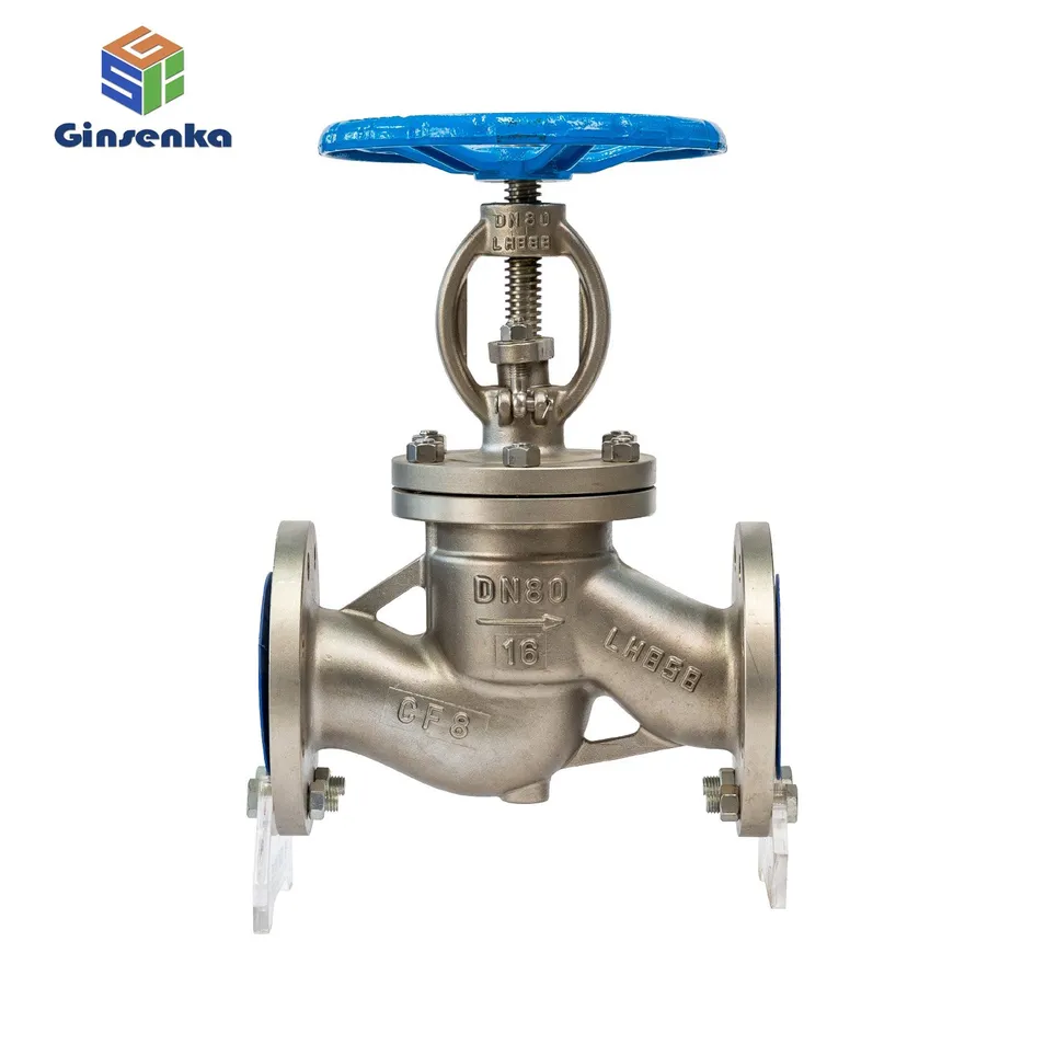 Globe Valve Main View