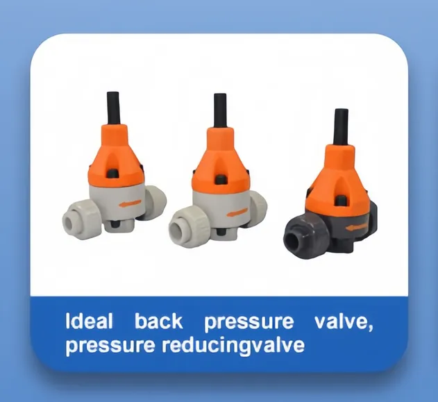 Back Pressure Valve