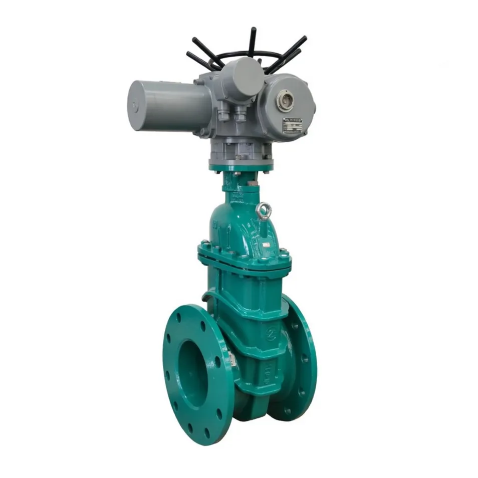 Industrial Gate Valve Detail