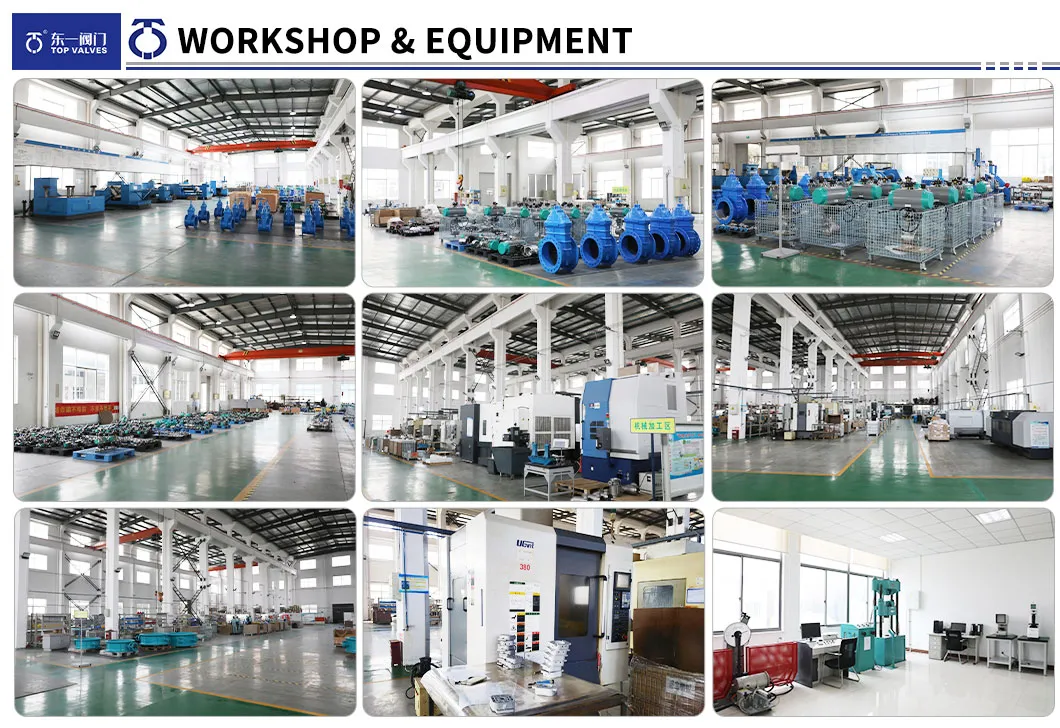 Testing Equipment