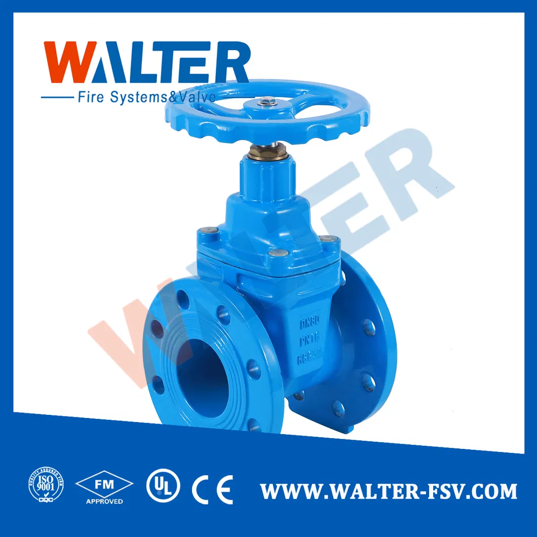 Gate Valve Detail 2