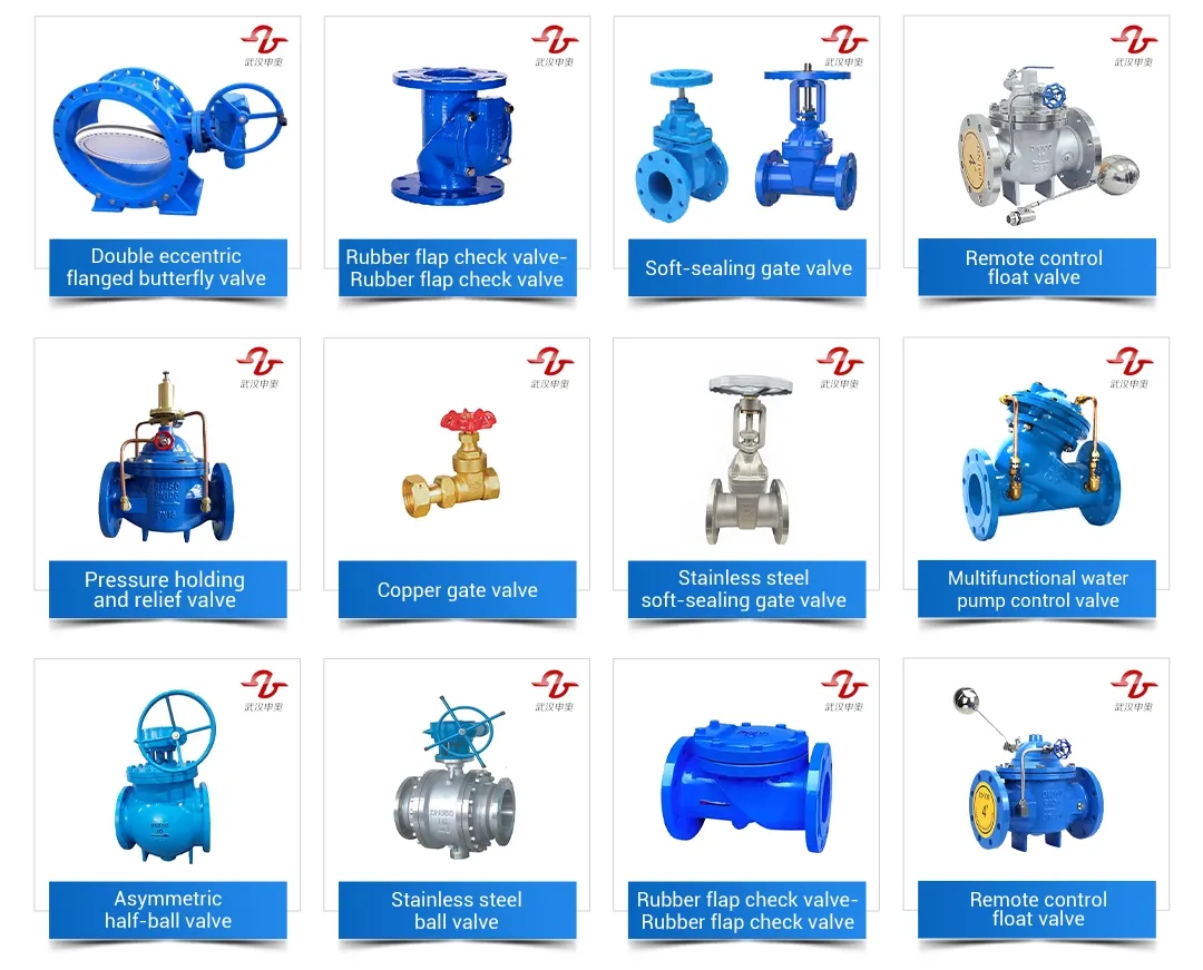 Check Valve Main Product
