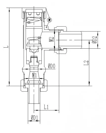 Cryogenic Safety Valve Specification