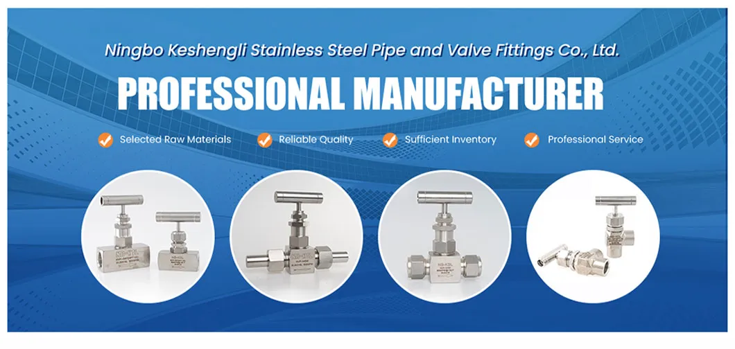 Ferrule High Pressure Needle Valve