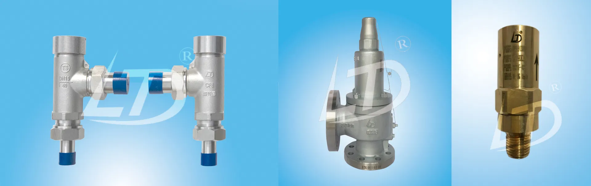 Safety Valve Model 1