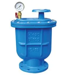 High Pressure Double Air Valve Detail