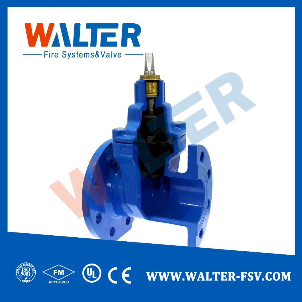 Gate Valve Detail 6