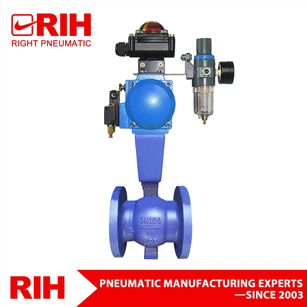 Pneumatic Valve 6